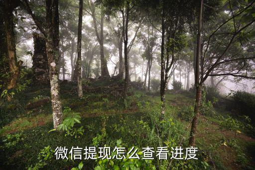 微信提現(xiàn)怎么查看進(jìn)度