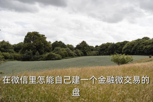 微信怎么綁定金融服務，在微信里怎能自己建一個金融微交易的盤