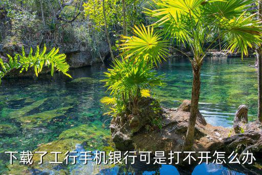 下載了工行手機銀行可是打不開怎么辦