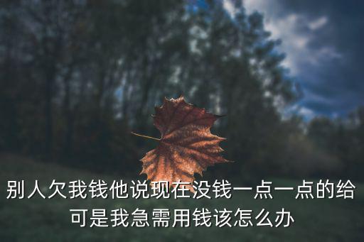 我急需用錢該怎么辦，別人欠我錢他說(shuō)現(xiàn)在沒(méi)錢一點(diǎn)一點(diǎn)的給可是我急需用錢該怎么辦