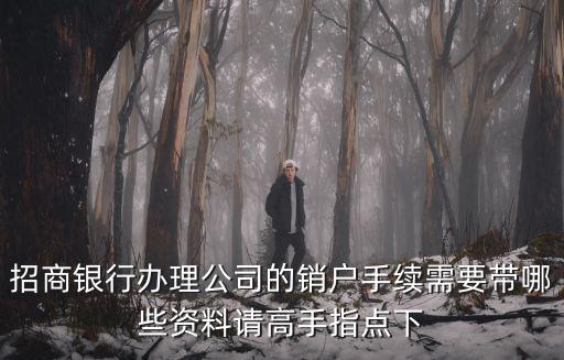 招商銀行辦理公司的銷戶手續(xù)需要帶哪些資料請(qǐng)高手指點(diǎn)下