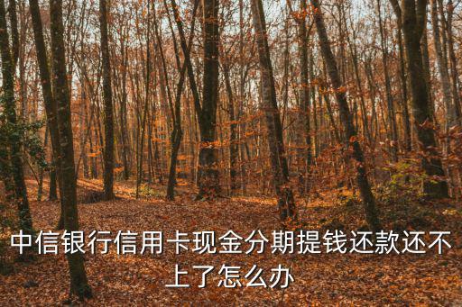 現(xiàn)金分期還不上怎么辦，多張信用卡現(xiàn)金分期還不上會(huì)面臨牢獄之災(zāi)嗎