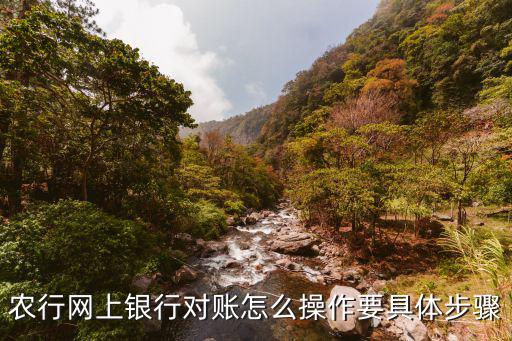 農(nóng)行網(wǎng)上銀行對賬怎么操作要具體步驟