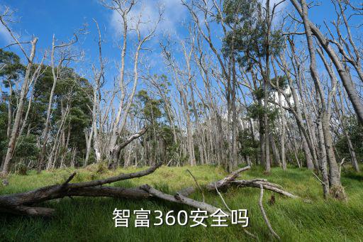 智富360安全嗎