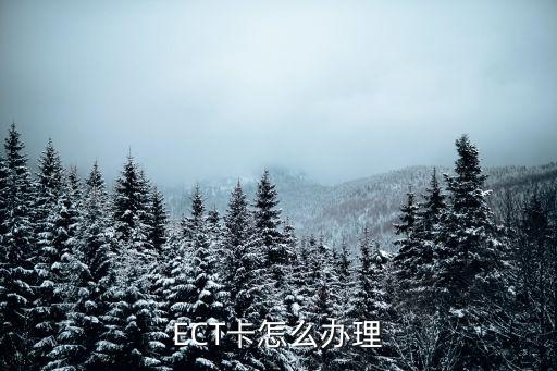 浙江建行etc卡怎么辦，建行結(jié)算通卡如何辦理