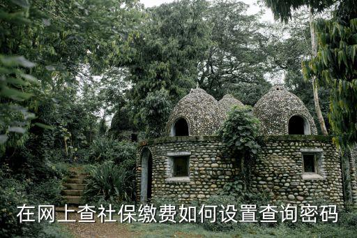 醫(yī)保怎么查繳費記錄查詢密碼，個人醫(yī)療保險查詢密碼