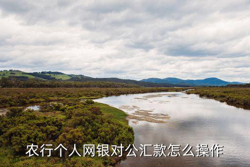 一般對(duì)公帳號(hào)怎么匯款，農(nóng)行個(gè)人網(wǎng)銀對(duì)公匯款怎么操作
