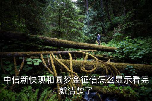 中信新快現(xiàn)和圓夢(mèng)金征信怎么顯示看完就清楚了