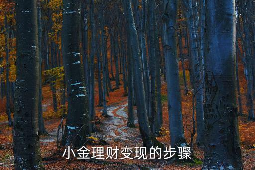 小金理財撮合圖怎么看，小金理財要資金撮合成功才能簽到么