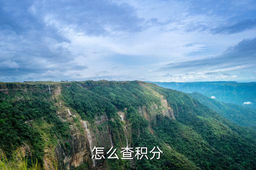 怎么查積分