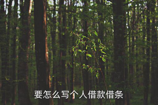 要怎么寫個人借款借條