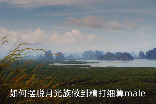 怎么辦 總成月光族，如何擺脫月光族做到精打細(xì)算male