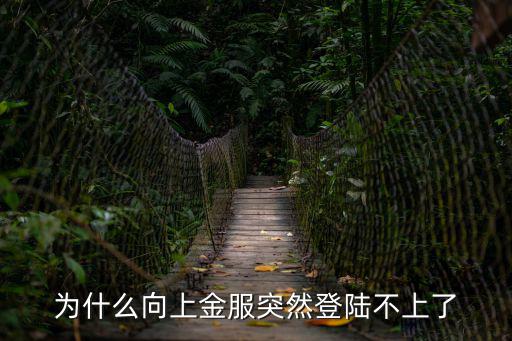 為什么向上金服突然登陸不上了