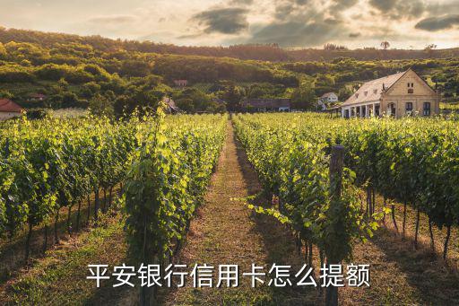 平安白金卡怎么用提額度是多少，中國(guó)平安銀行白金信用卡額度如何提高啊