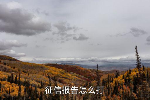 征信報(bào)告怎么打