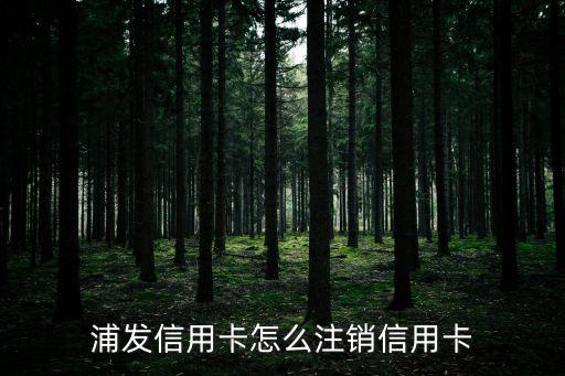 浦發(fā)怎么消卡，怎樣取消蒲發(fā)銀行信用卡