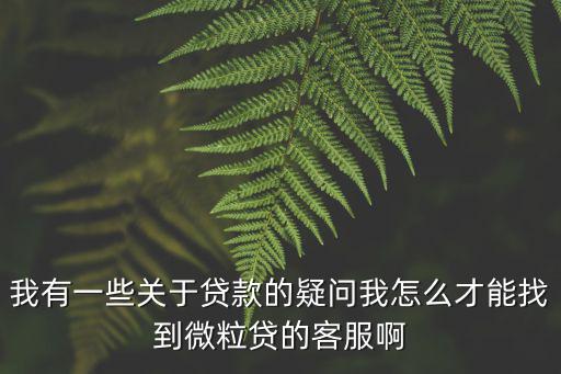 我有一些關(guān)于貸款的疑問我怎么才能找到微粒貸的客服啊