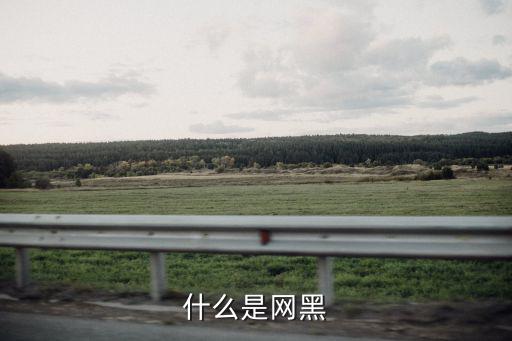網(wǎng)貸黑名單會(huì)怎么樣，什么是網(wǎng)黑