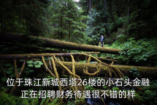位于珠江新城西塔26樓的小石頭金融正在招聘財(cái)務(wù)待遇很不錯(cuò)的樣