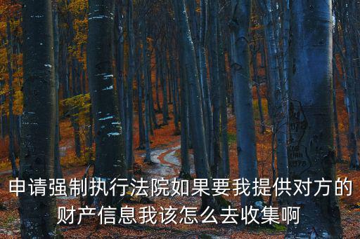 申請(qǐng)強(qiáng)制執(zhí)行法院如果要我提供對(duì)方的財(cái)產(chǎn)信息我該怎么去收集啊