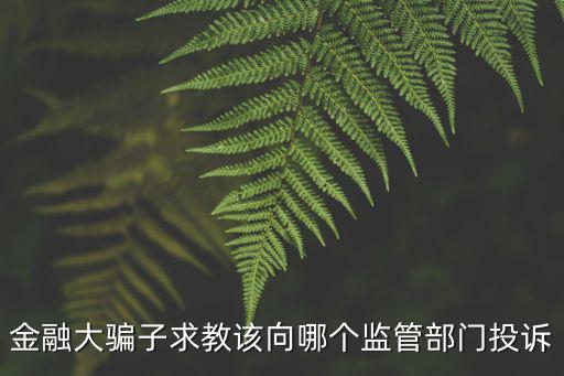 金融傳銷怎么舉報，金融大騙子求教該向哪個監(jiān)管部門投訴