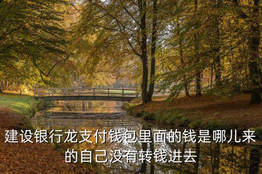龍支付的錢怎么來(lái)的，用龍支付向朋友的微信轉(zhuǎn)賬對(duì)方?jīng)]收到還被領(lǐng)取了怎么辦