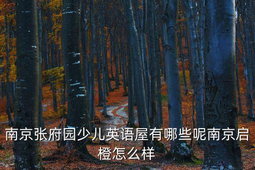 南京張府園少兒英語屋有哪些呢南京啟橙怎么樣