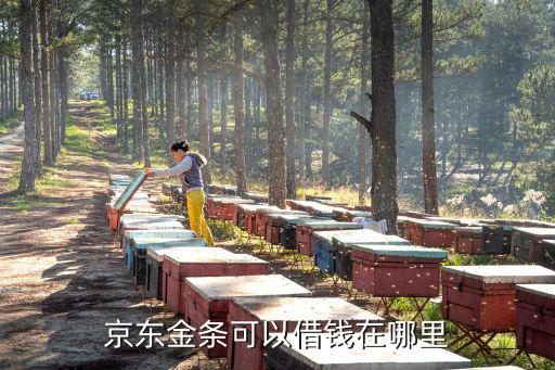 京東金條可以借錢在哪里