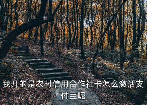 陜西信合的卡怎么激活，我開的是農(nóng)村信用合作社卡怎么激活支付寶呢