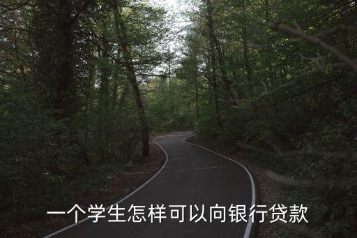 一個(gè)學(xué)生怎樣可以向銀行貸款