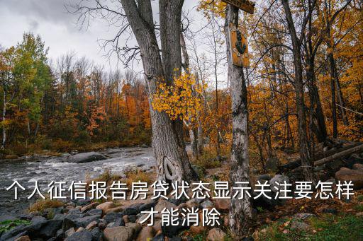 個(gè)人征信報(bào)告房貸狀態(tài)顯示關(guān)注要怎樣才能消除