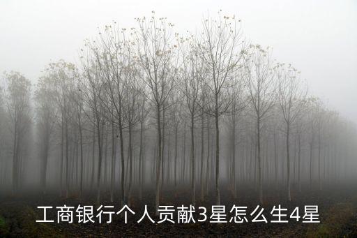 工商銀行個(gè)人貢獻(xiàn)3星怎么生4星