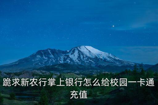 跪求新農(nóng)行掌上銀行怎么給校園一卡通充值