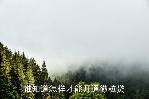 誰(shuí)知道怎樣才能開通微粒貸