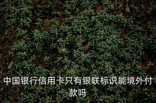 中國(guó)銀行信用卡只有銀聯(lián)標(biāo)識(shí)能境外付款嗎