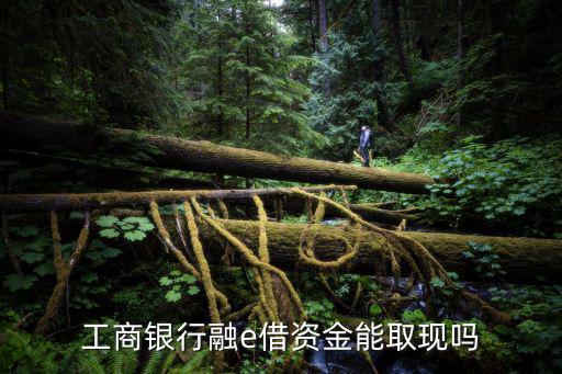 融e借現(xiàn)金怎么提現(xiàn)，我在平安融e貸貸了款要在線下處理要怎樣才能提現(xiàn)
