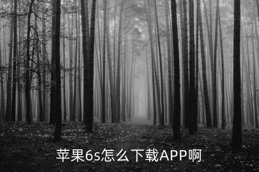 蘋果6s怎么下載信托付，蘋果6splus怎么下載不了信掌柜