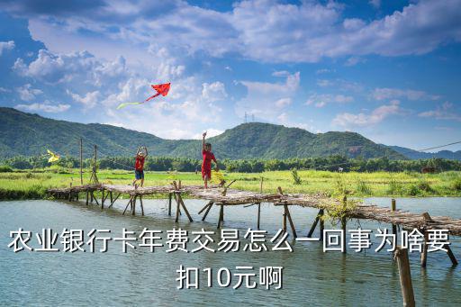 農(nóng)行交易費是怎么回事，公司在網(wǎng)上農(nóng)業(yè)銀行交易費55是怎樣回事