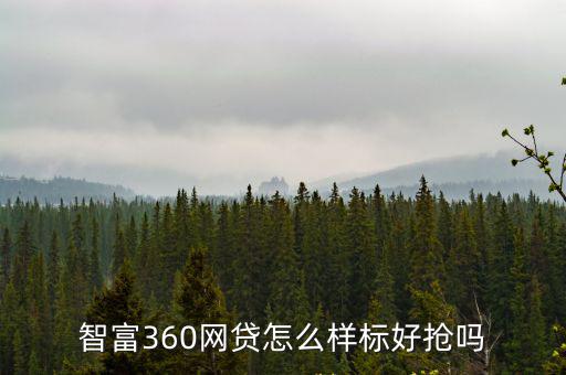 智富360網(wǎng)貸怎么樣標好搶嗎