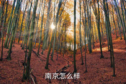 南京市啟道 怎么樣，南京怎么樣