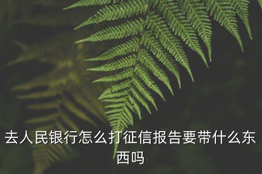 去人民銀行怎么打征信報(bào)告要帶什么東西嗎