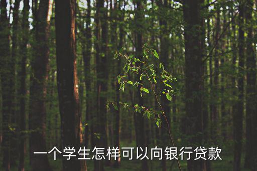 怎么可以到銀行貸款，怎樣才能向銀行貸款