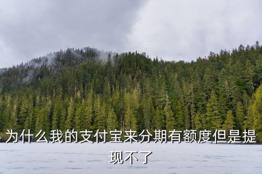 為什么我的支付寶來分期有額度但是提現(xiàn)不了