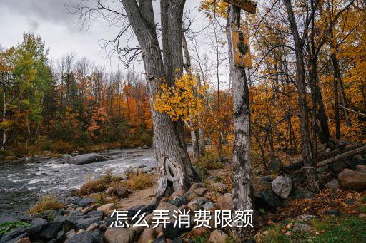 怎么弄消費(fèi)限額