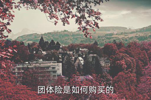 團(tuán)體險(xiǎn)是如何購買的