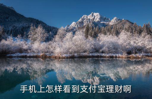 手機(jī)上怎樣看到支付寶理財啊