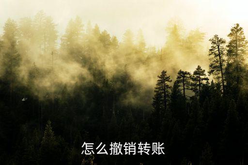 怎么撤銷(xiāo)轉(zhuǎn)賬
