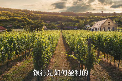 銀行是如何盈利的