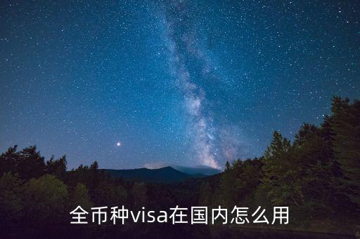 全幣種visa在國內(nèi)怎么用