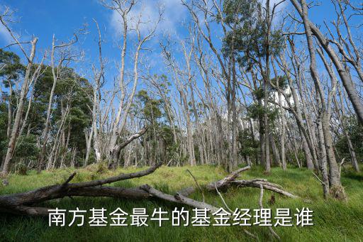 南方基金魏萌怎么樣，南方基金最牛的基金經(jīng)理是誰